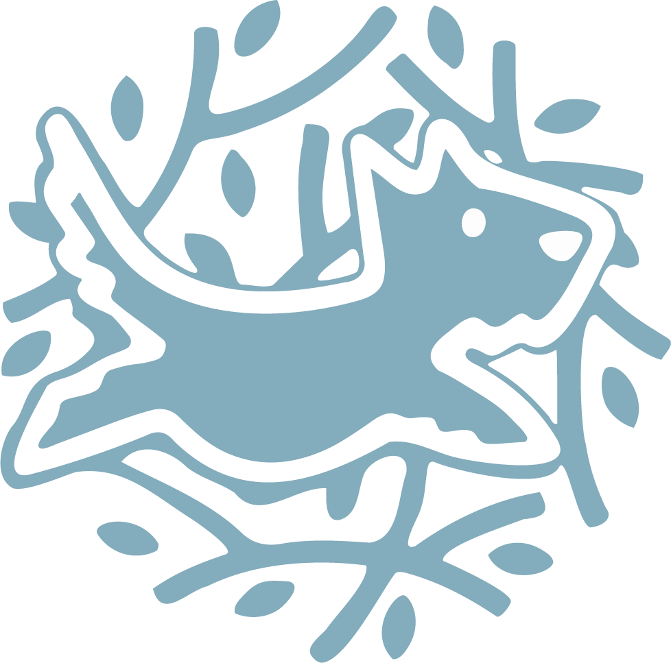 Logo Casa Cindor